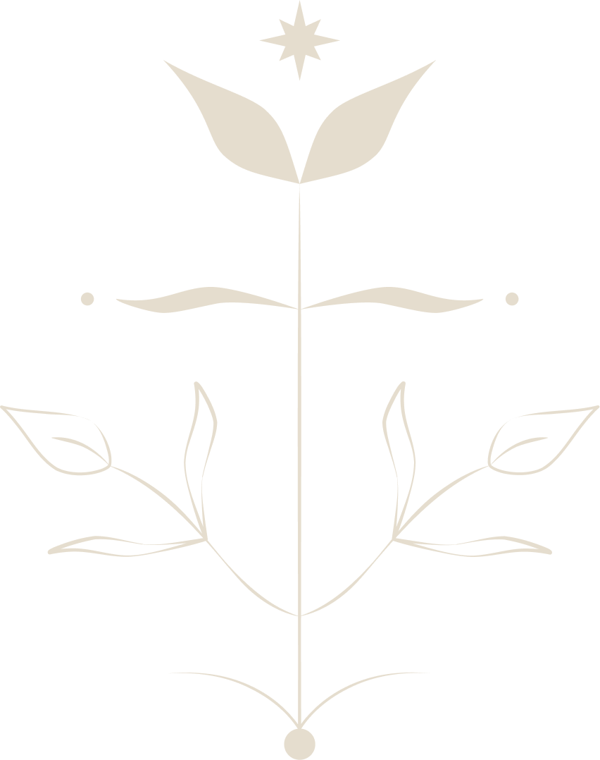 Cocoonea logo